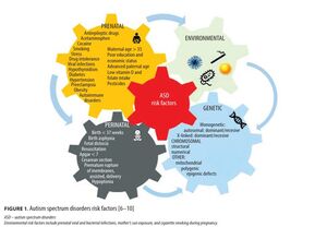 A brief guide to the genetics of autism spectrum disorders