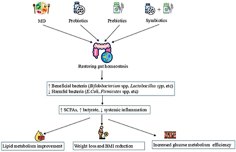 Figure from article: Modification of gut...