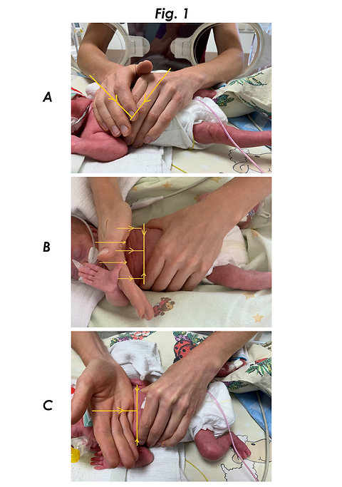 Figure from article: Application of expiratory...